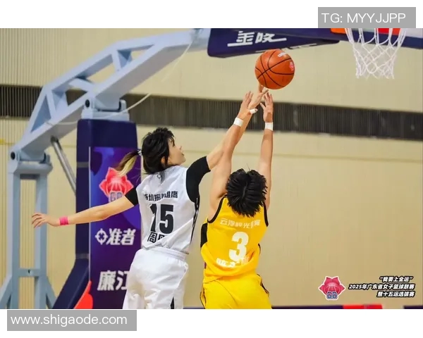 亮亮明星篮球：点燃青春激情，追逐梦想的篮球之旅